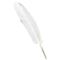 Picture Beautiful quill pen