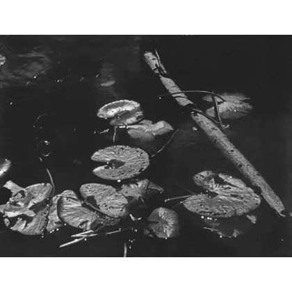 Zdjęcie Fotografia kolekcjonerska - Szczepan Kurzeja -