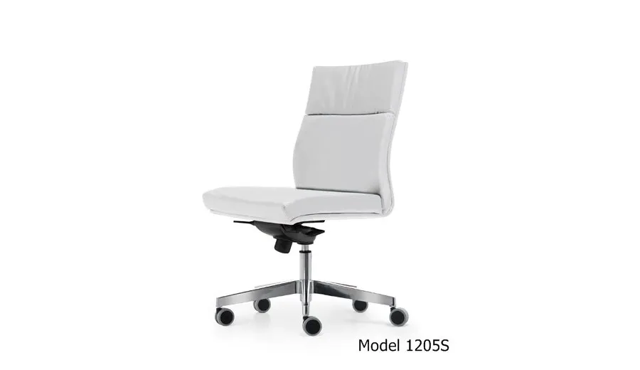 picture 3 President  comfortable leather armchair