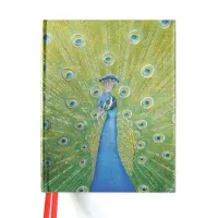 Zdjęcie Elegancki szkicownik (Paw w kolorze niebieskim i zielonym) - Flame Tree Publishing