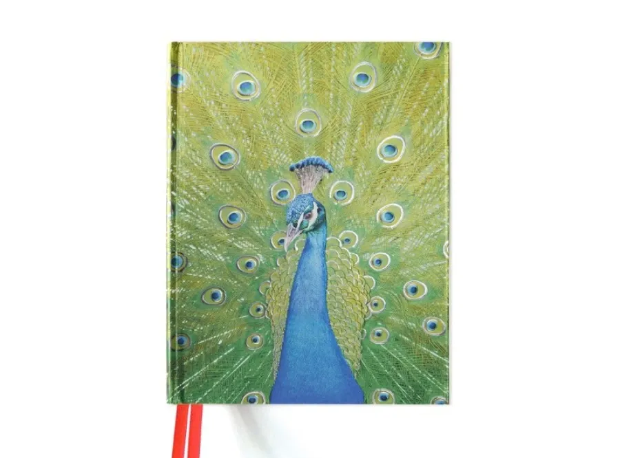 obrazek 1 Elegancki szkicownik (Paw w kolorze niebieskim i zielonym) - Flame Tree Publishing