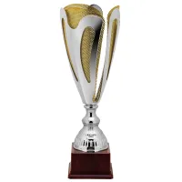 Picture An unconventional sports cup from an Italian manufacturer