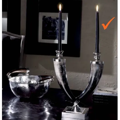 Picture A tasteful double candlestick with antlers