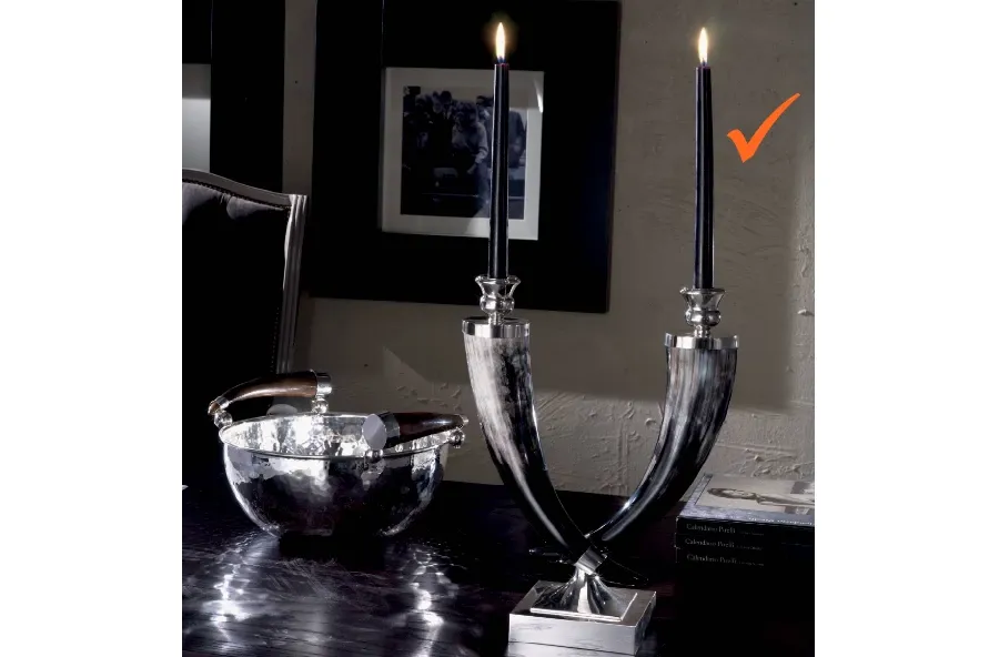 obrazek 1 Gustowny podwójny świecznik z porożem