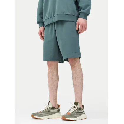 Zdjęcie 4F Szorty sportowe 4FWSS24TSHOM342 Zielony Regular Fit