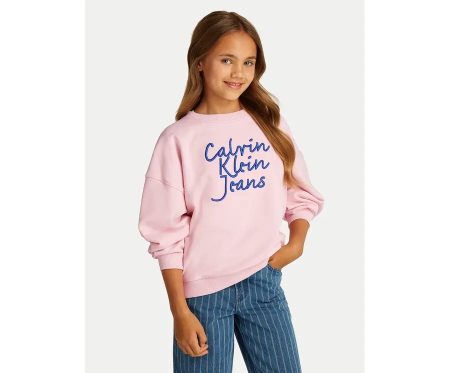 obrazek 1 Calvin Klein Jeans Bluza IG0IG02760 Różowy Regular Fit