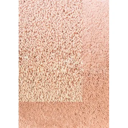 Picture Beautiful pink smooth carpet - TWINSET BORDER IN CUT PILE 21202
