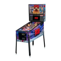 Zdjęcie Flipper Rush Premium