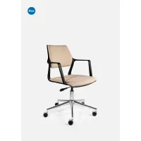Picture An extraordinary Italian Shell office chair with a low backrest