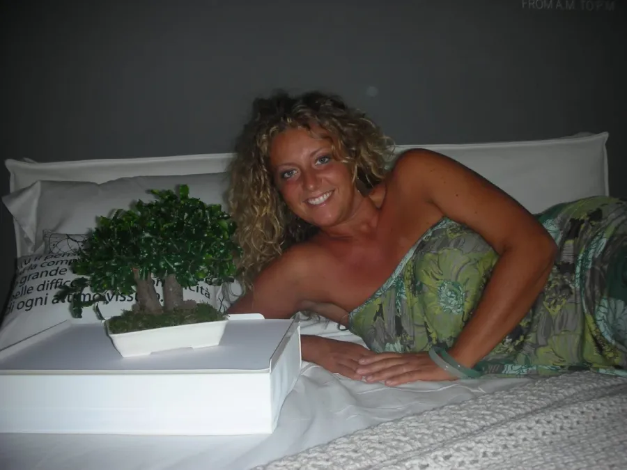 obrazek 2 Dekoracyjne Bonsai z konserwowanego pitosporum