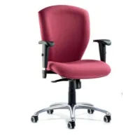 Picture A unique Seattle office chair