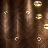 Zdjęcie Boazeria z forniru dębowego z okrągłymi matowymi wstawkami z rogu - Arcahorn