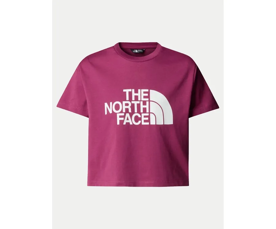 obrazek 1 The North Face T-Shirt Easy NF0A8DRQ Różowy Relaxed Fit