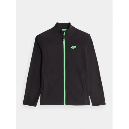 Zdjęcie 4F Polar 4FJAW23TFLEM105 Czarny Regular Fit