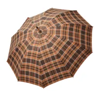 Picture A unique men's umbrella with a wooden handle