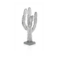 Zdjęcie Szary dekoracyjny kaktus Emilio Robba
