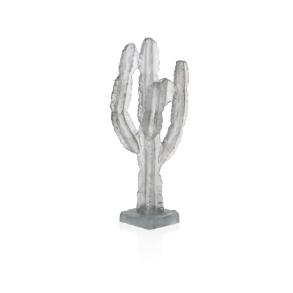 Zdjęcie Szary dekoracyjny kaktus Emilio Robba