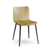 Picture Chair with steel frame and oak seat Dandy - Colico