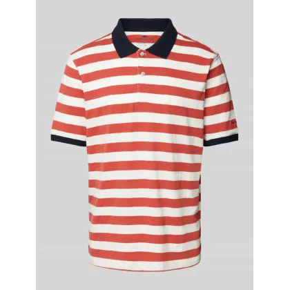 Zdjęcie Koszulka polo o kroju regular fit ze wzorem w paski