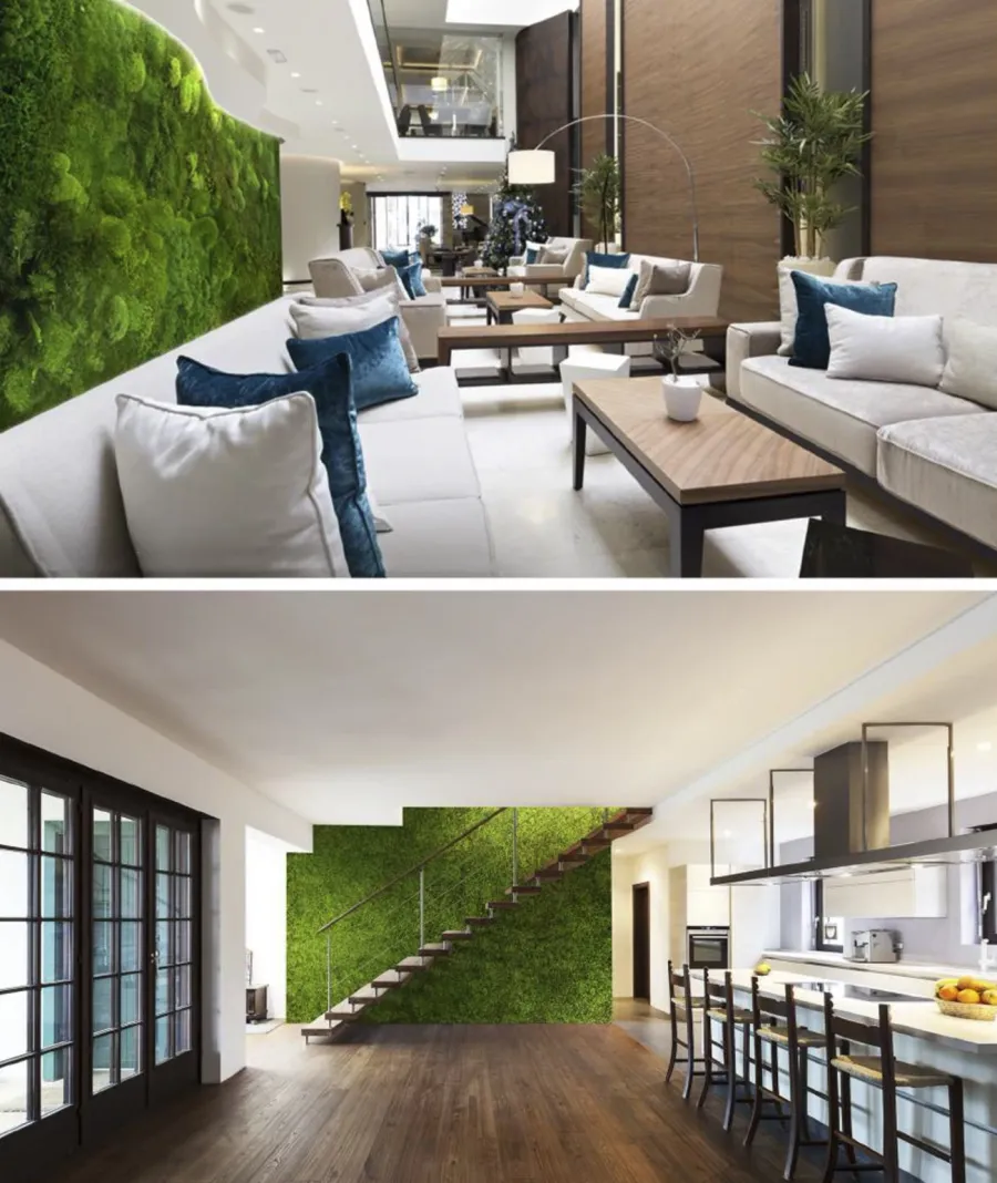 obrazek 1 30x30 cm Mech leśny poduszkowy (jasna oliwka P01)