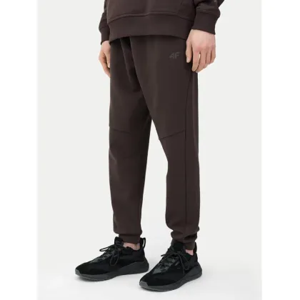 Zdjęcie 4F Spodnie dresowe 4FWSS24TTROM648 Brązowy Regular Fit
