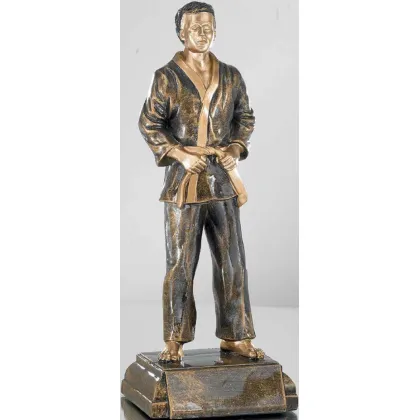 Zdjęcie Statuetka dla najlepszego zawodnika judo – Erre Emme