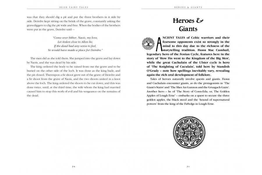 obrazek 2 Książka Irlandzkie bajki - Flame Tree Publishing