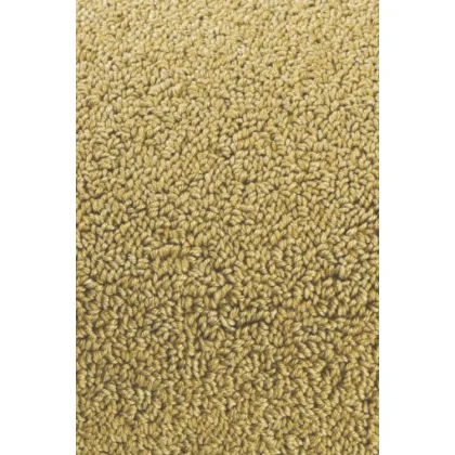 Picture Elegant golden smooth loop carpet - TWINSET UNI LOOP PILE 21406