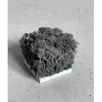 Zdjęcie Wzornik Chrobotek, mech reniferowy islandzki (011 czarny) - basic