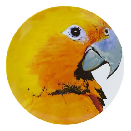 Zdjęcie Talerz-półmisek z kolekcji Olhar o Brasil z przedstawieniem ptaka Guaruba - Vista Alegre