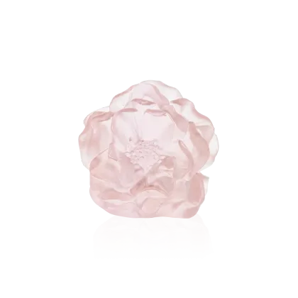 Zdjęcie Ozdobny kwiat różowej kamelii – firma Daum