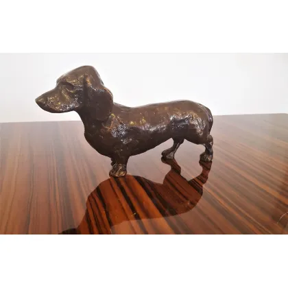 Zdjęcie Piękny brązowy jamnik - dla każdego!