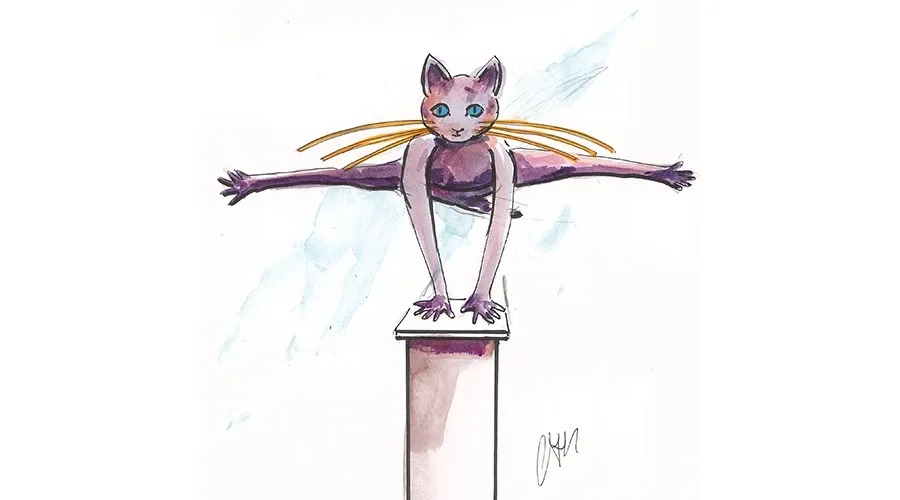 obrazek 4 Elitarna statuetka kota