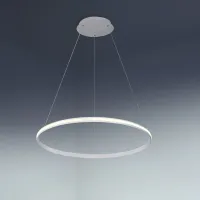Picture Stylish Lens hanging lamp made of steel, aluminum, silicone, ⌀100 cm