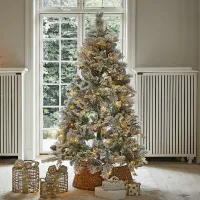 Zdjęcie Choinka Karélisse