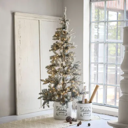 Zdjęcie Choinka Sansais