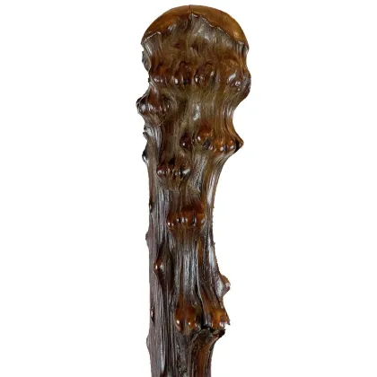 Picture A tasteful ancient mountain stick from the 20th century