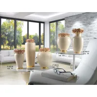 Picture Amazing vases from the Venere collection