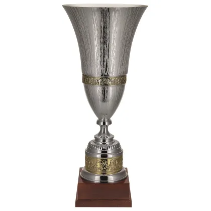 Zdjęcie Piękne trofeum sportowe z opcją grawerowania