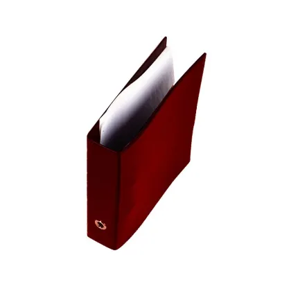 Picture A unique document binder!