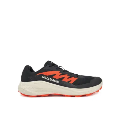 Zdjęcie Salomon Buty do biegania Alphaglide L47801100 Czarny