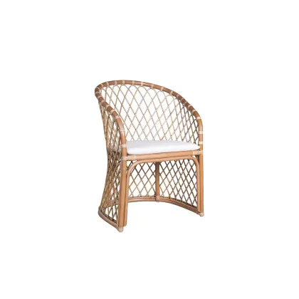 Zdjęcie Piękne stylowe krzesło Alice do jadalni lub na zewnątrz