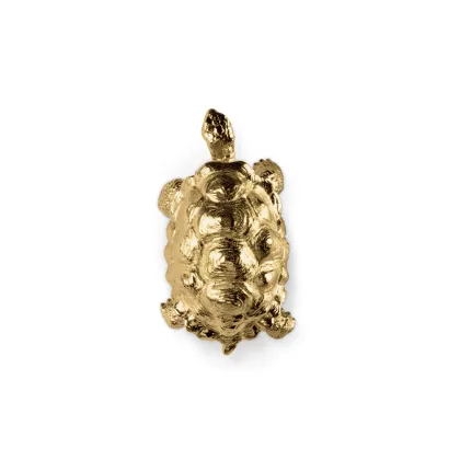 Zdjęcie Mosiężny uchwyt w kształcie żółwia