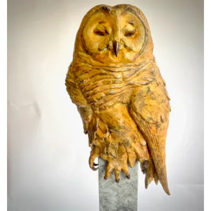 Zdjęcie Wspaniała rzeźba wykonana z brązu przedstawiająca brązową sowę - wyjątkowa ozdoba do salonu
