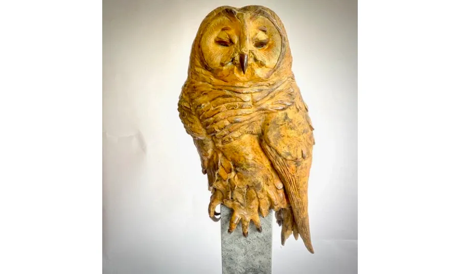 obrazek 1 Wspaniała rzeźba wykonana z brązu przedstawiająca brązową sowę - wyjątkowa ozdoba do salonu