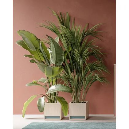 Picture A stylish flower pot for a prestigious slaon - Prof