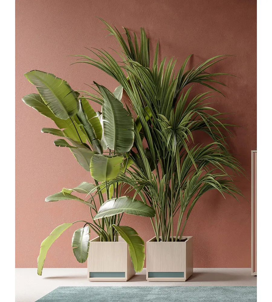 obrazek 1 Stylowa donica do prestiżowego slaonu - Prof