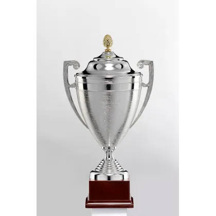Zdjęcie Elegancki puchar z opcją grawerunku - sportowe trofeum