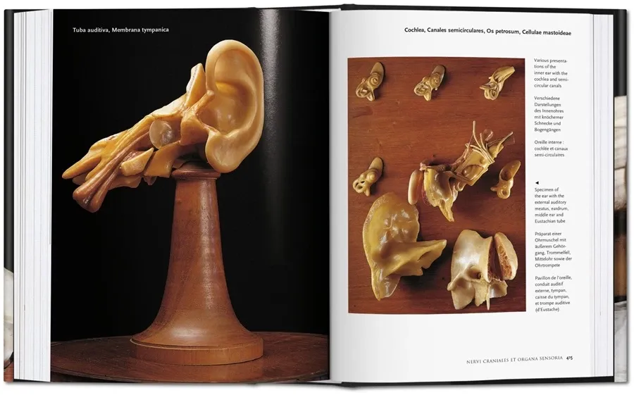 obrazek 7 Książka Encyclopaedia Anatomica - Taschen