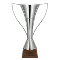 Picture Sports distinction for tournament participants - cup